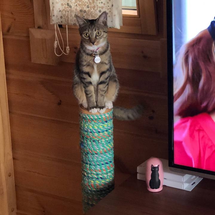 9eeaa2ad e27f 473d 8d98 aac3b6c54505 1569120447367