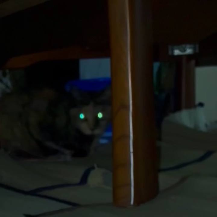 9eeaae62 36e3 428f b898 6ca8012cfa01 1750536735756