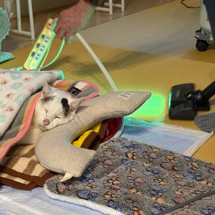 9eeac4d7 1715 496e 8826 138c30bcec49 1765676310215