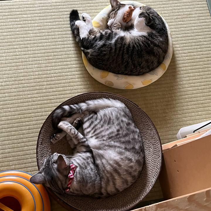 9eeae1f6 4122 4abd b949 f4936deaf64a 1726983217629