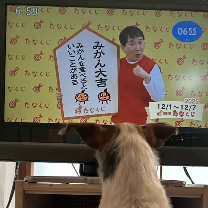 9eeb0a06 c358 484f b4bf b815d37621bd 1764541551701