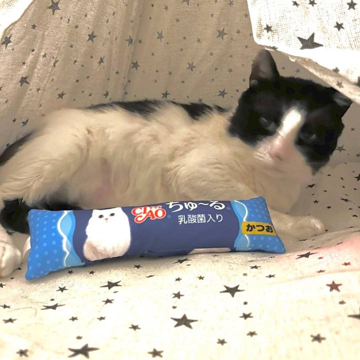 9eeb0a14 5e29 4faa 88a2 02bc87eff5ed 1641912627329