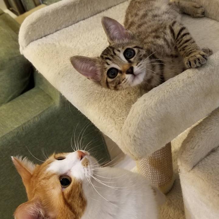 9eeb2a27 4b42 4eca 9c98 b0bf4de086fc 1536206838577