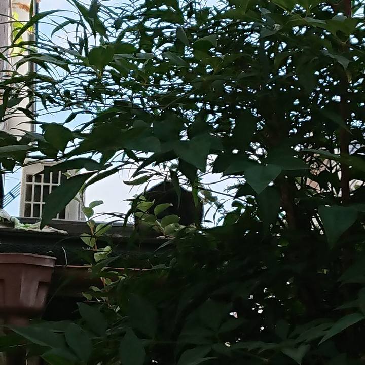 9eeb7dbb 3b8e 455e 8954 4bd0490b6cf1 1567739450246