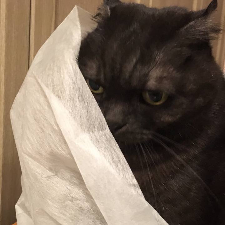 9eeb8113 9db8 4371 aba2 3c6d1969e064 1556537733347