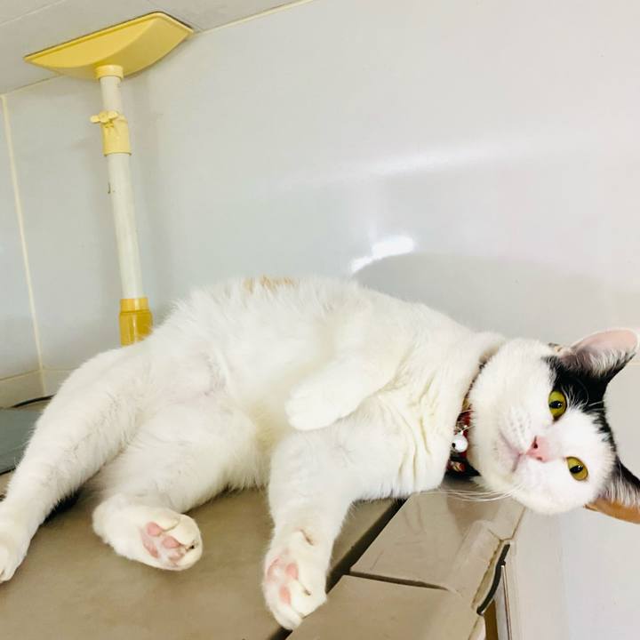 9eec027e a061 4226 afad f4fa1c5fc32c 1677399120703