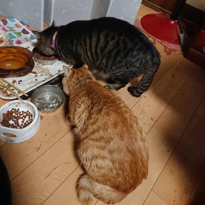 9eec077e 820a 415f 9f2f f4f1ea611995 1650101604389