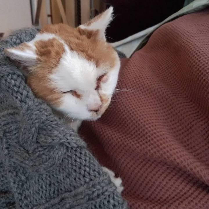 9eec18eb bd57 4555 bebe 59d400975a54 1639220626120