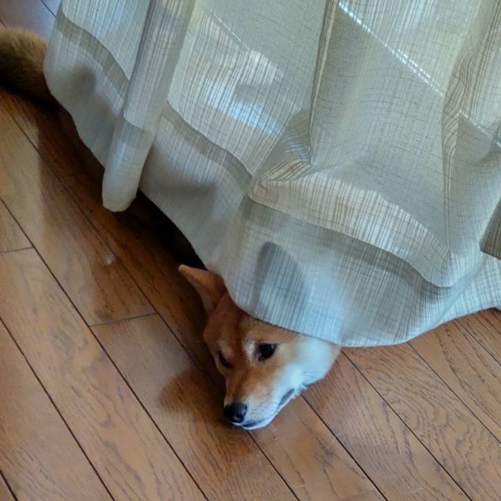 9eec4e9b ca88 464d bf08 0c9b94021805 1630219209558