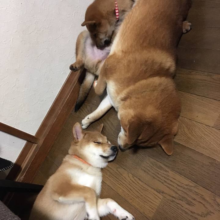 9eec9ff2 7da5 41c3 8b1b 236f35f1bcce 1517655209058