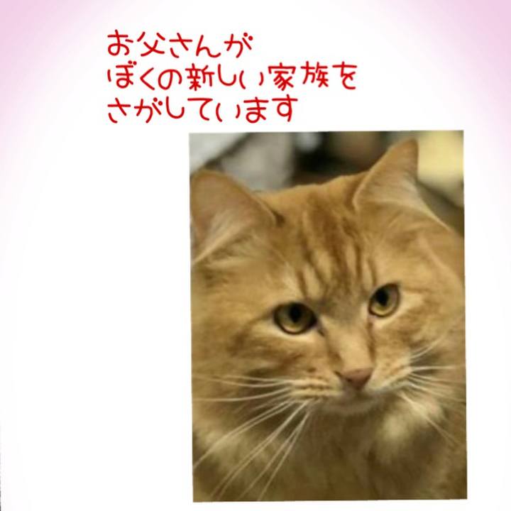 9eecac22 ff56 4bff 9eb6 bee3836d7d59 1581095247651