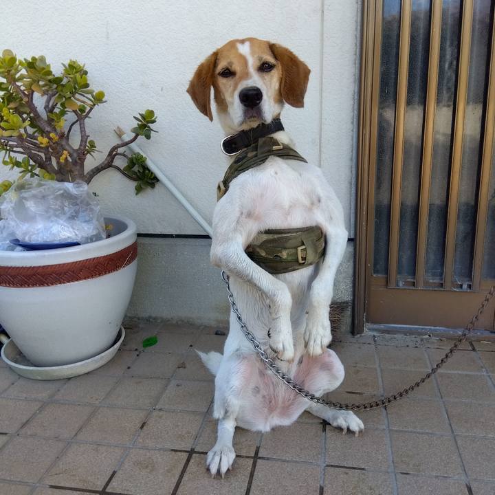 9eecbb50 5d85 47ab 893c 0064deecd047 1691643550310