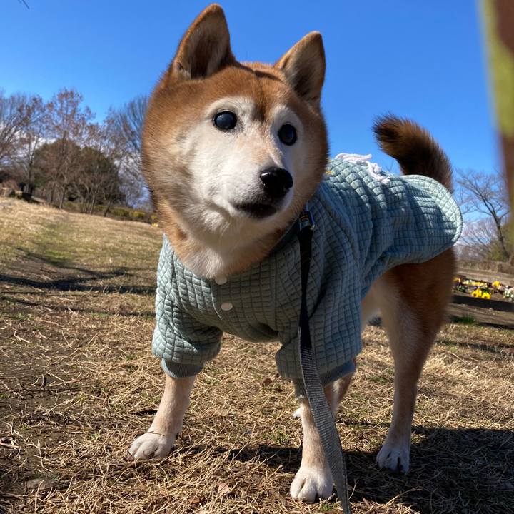 9eece1cd 8a27 4909 b02d 16628ffb2578 1738641976715