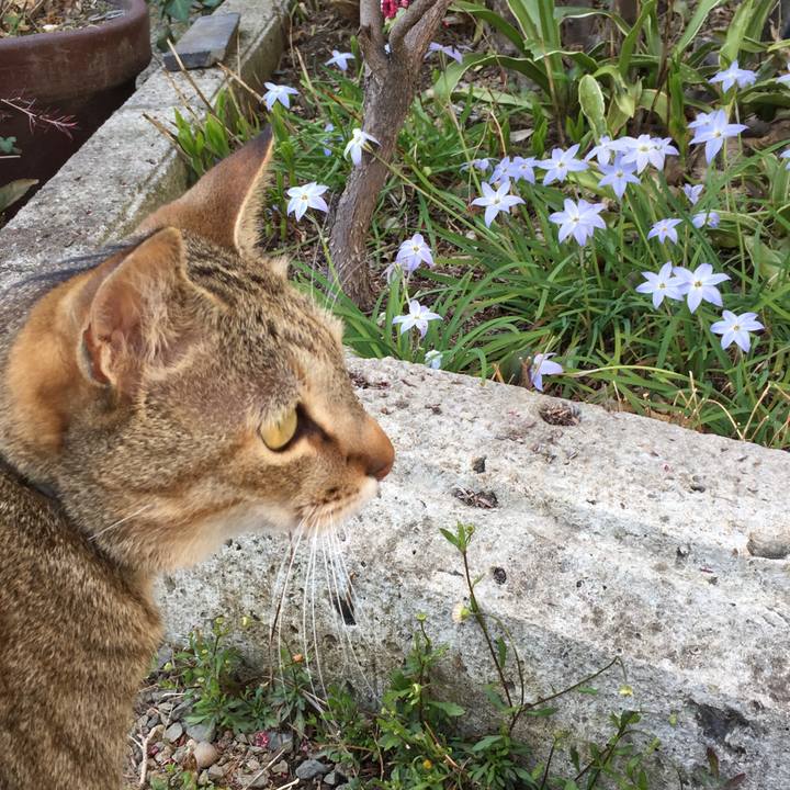 9eed0293 df95 4c99 a5ef 0b1106d5cf42 1522075478824