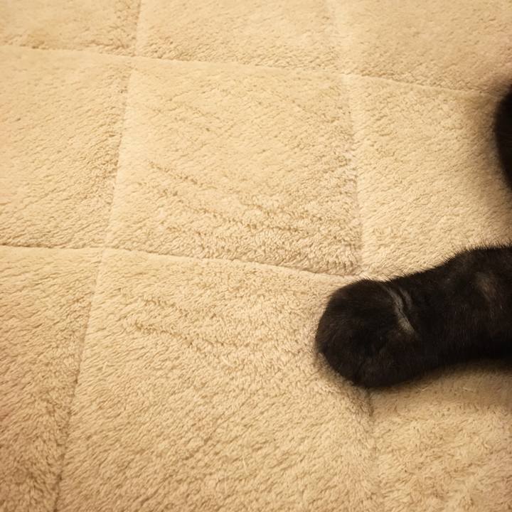 9eed2ec5 c08a 4f14 9b57 7d1571df9bf7 1529253104963