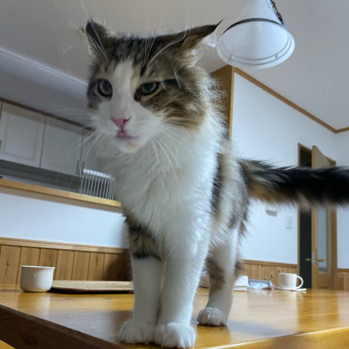 9eed358e 7f17 45b1 862e e0f35cfb203d 1637443059306