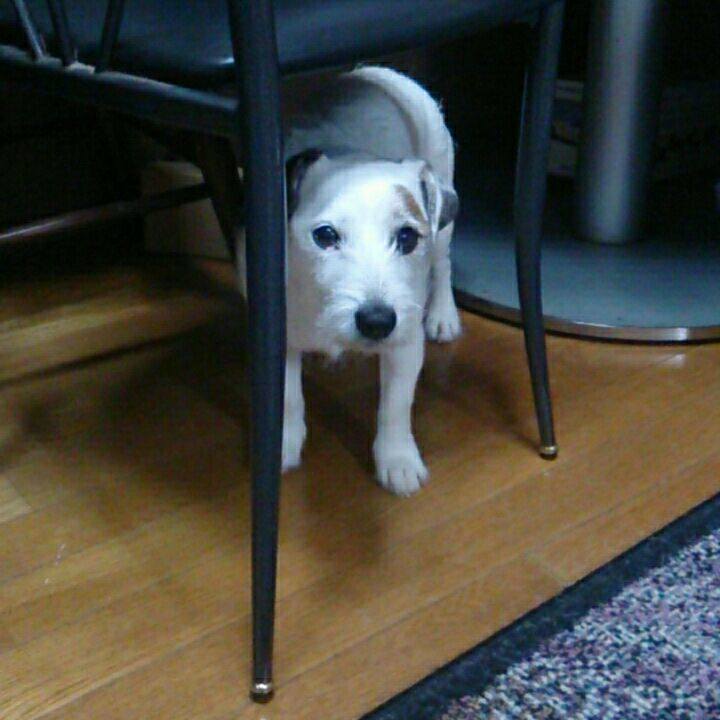 9eed7566 6fb6 4fd7 9ca1 ed0839fdccb6 1519084206020