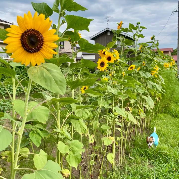 9eed7c8e efb1 43c0 bf7b f211bfaf0907 1628332528235