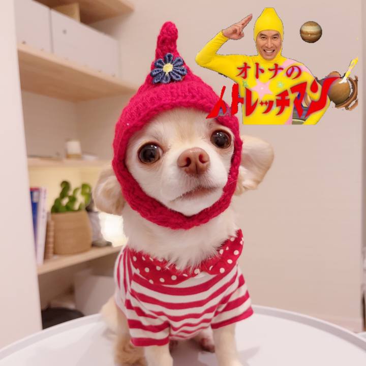 9eed90f2 0d6f 4424 ace2 788a34565c2c 1685752478865