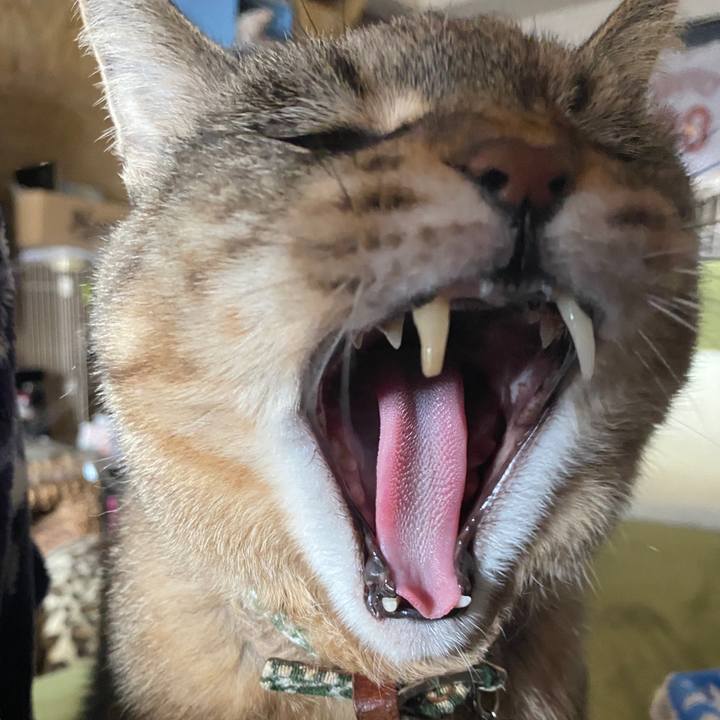 9eed9c77 2da3 4112 9d6c d9028d42af8e 1644899343520