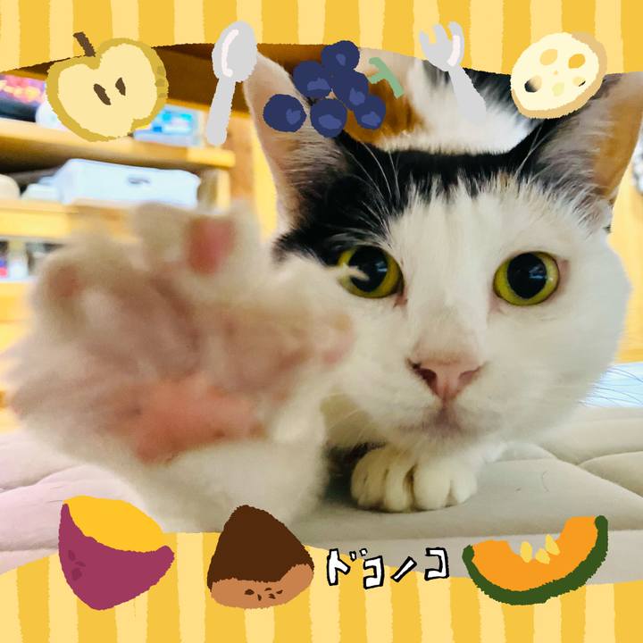 9eed9ec6 0ea4 41b8 be45 26cac50d9ae7 1726842806325