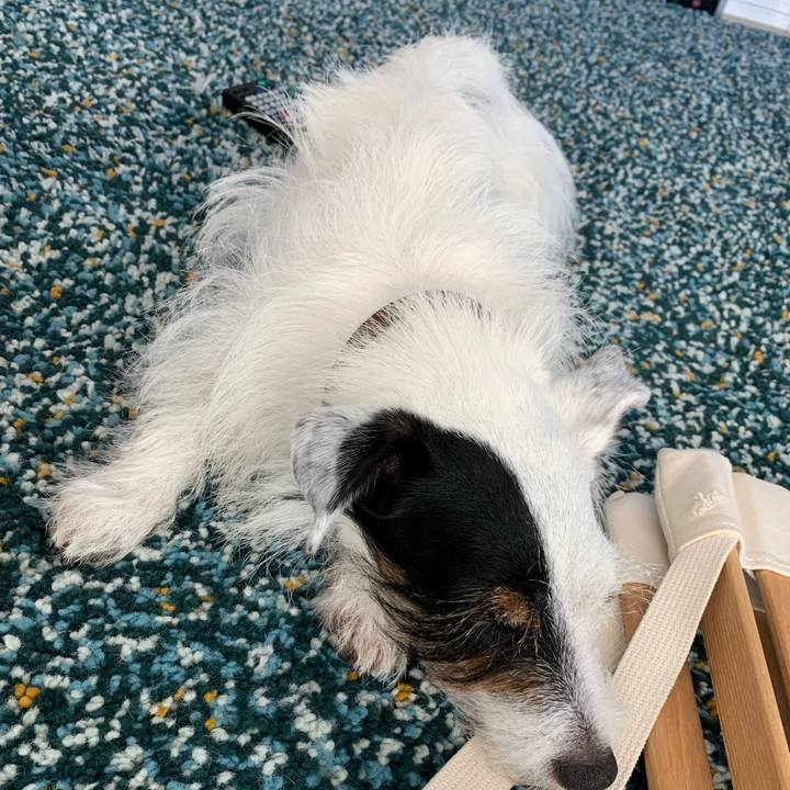 9eeda356 2489 471d a3c7 fc35dafc58dd 1661918229555