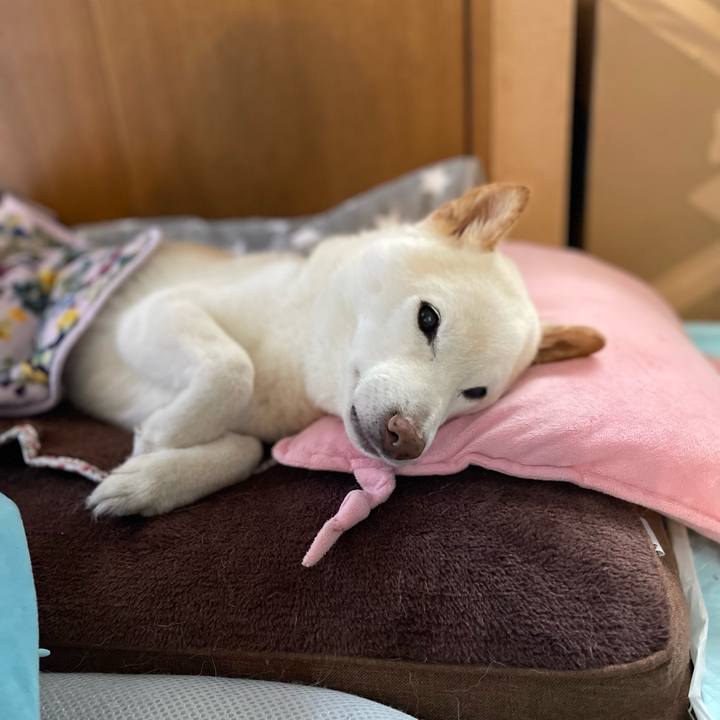 9eedb93a 07b2 4f7e 8182 d0d8bcbcde3c 1646109429917