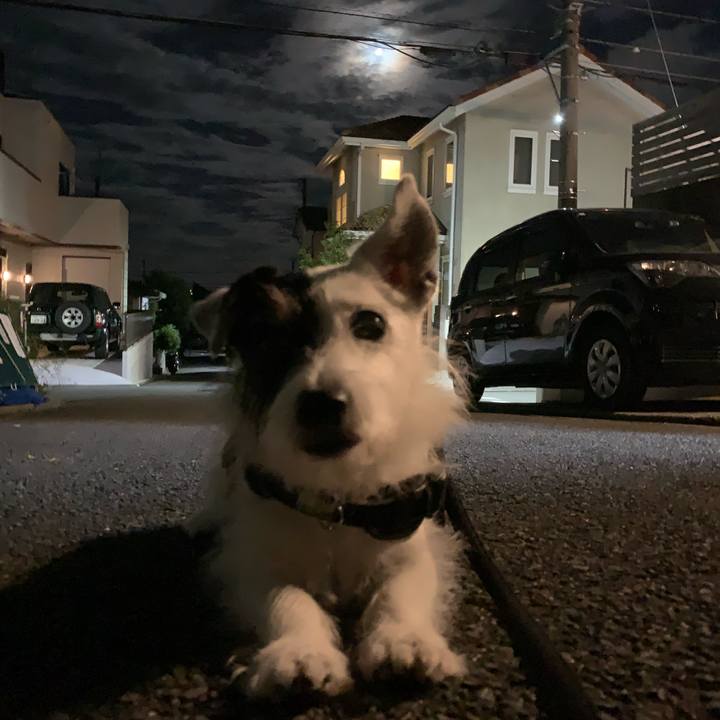 9eedc55e 17b6 4c63 a1d3 54a26da68406 1723726875191