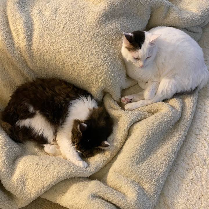 9eede329 900d 41e4 9042 dfb7c5696d40 1736557547246