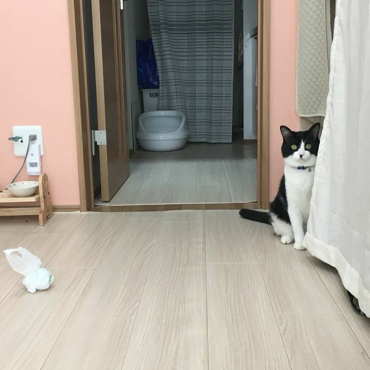 9eee04da f8dc 4cfc 8fe9 a84c8da8e8e1 1525922432308