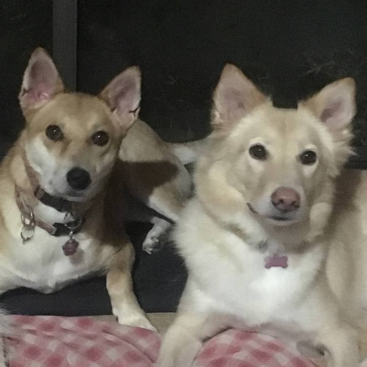 9eee0962 f18e 4500 9a80 7ee6a49a7fc8 1539179659997