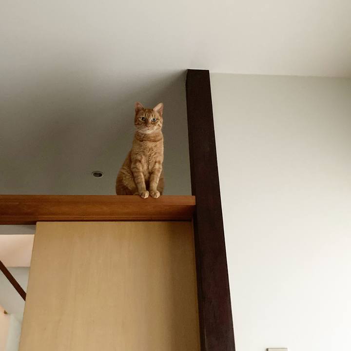 9eee2c41 7812 400a 85c7 09f6278988d3 1630452925291