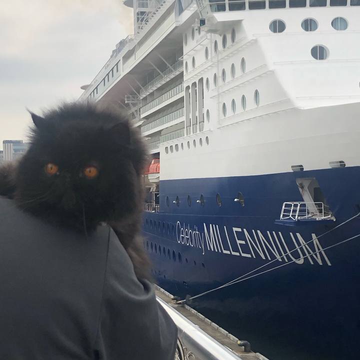 9eee3620 a360 4b45 a32b 1d7cabc32184 1699153040877