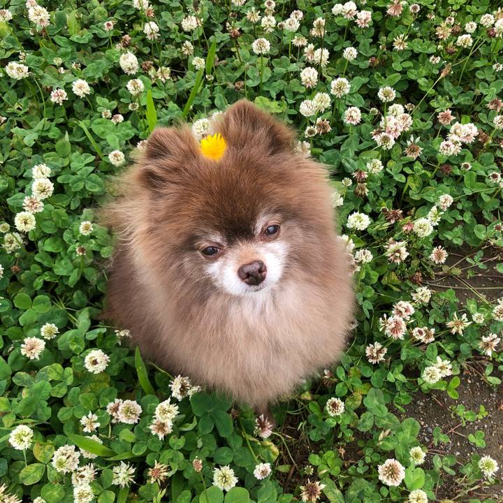 9eee5e63 3207 4ce0 89bb 5c15bcfd6bc2 1624502536283