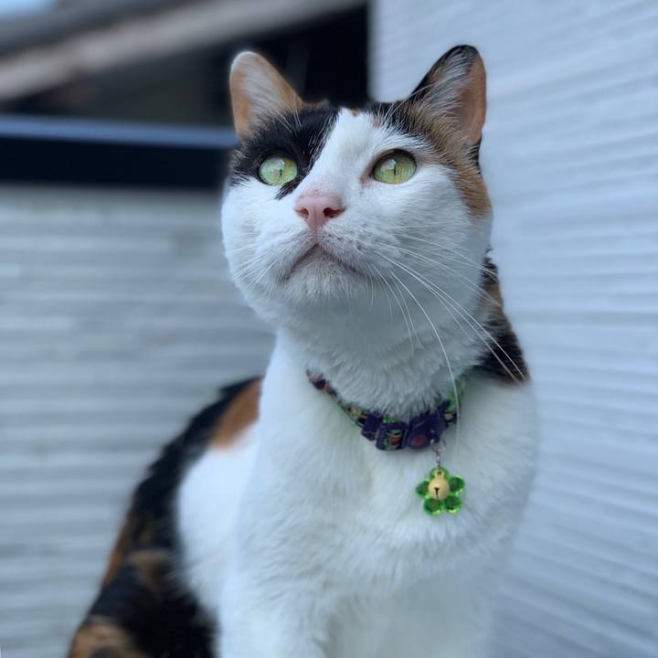 9eee8ecc 1101 48d8 8250 b67090472a15 1560126876285