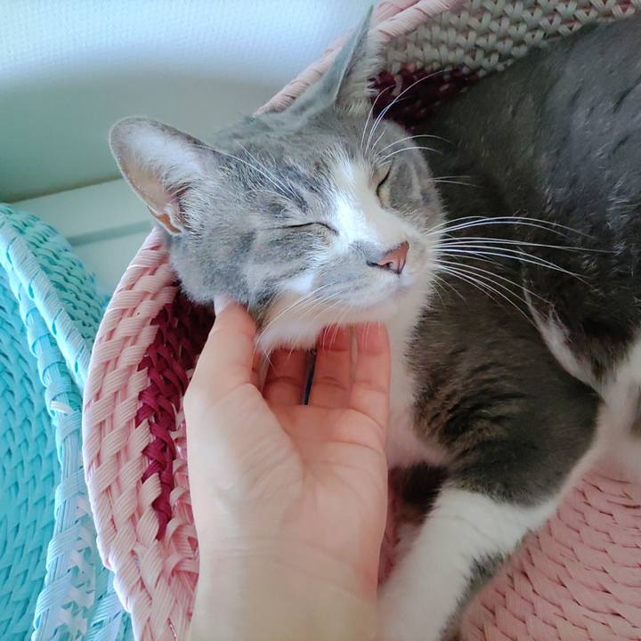 9eee903f 4b32 45c1 978c 7b5d1a76075b 1693439997766