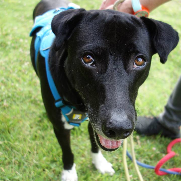 9eeec757 a20a 4a9b a12c b7213f9b3338 1622677907910