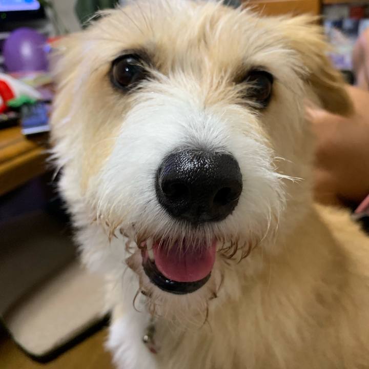 9eeef62f 950b 4e7f a2f2 3ec44c1053c9 1567599485735