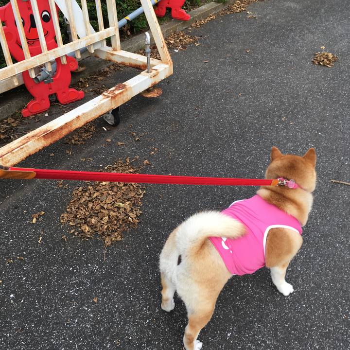 9eef1501 01ef 4faf 9e8a f4825e2ea745 1569060710806