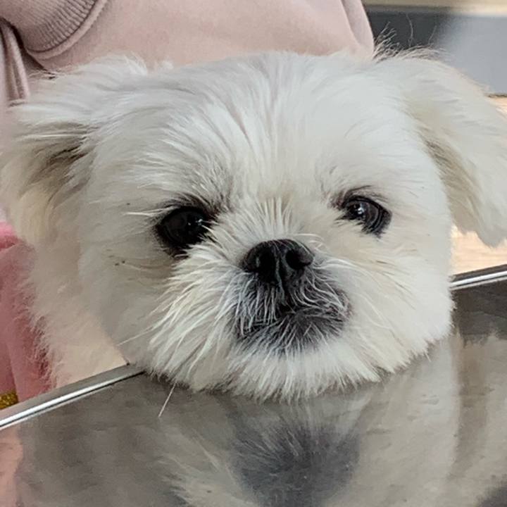 9eef3088 796e 47ac 8ca7 5d0bca9e13d2 1635768570479