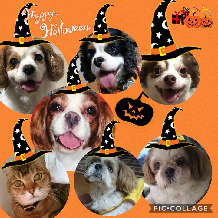 9eef3cad 5043 4bdb a304 be49faa25068 1571871651403