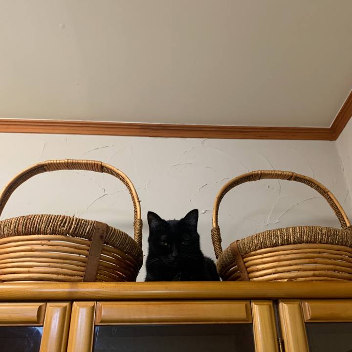 9eef59e6 ff5b 4f91 83a1 91426ba99f81 1644489177373