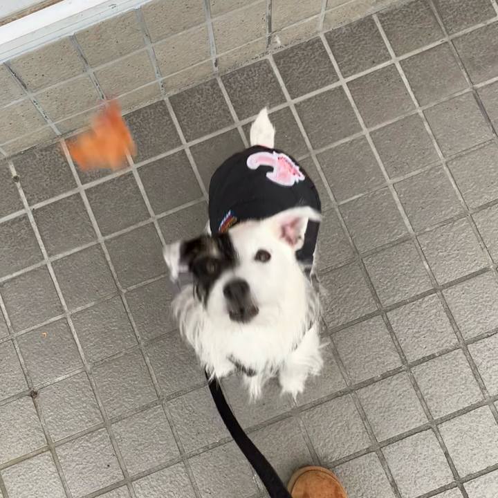 9eef5b55 b63a 4f6d b3f2 4b73d1abb583 1673748708374