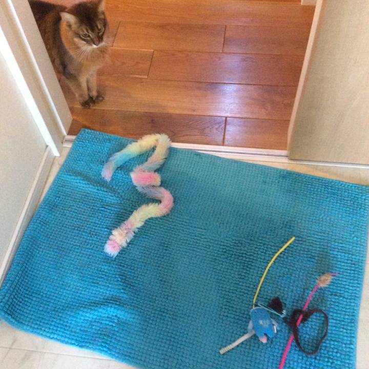 9eef90bf 3b03 494d b88d f9321d210bb8 1613086998296