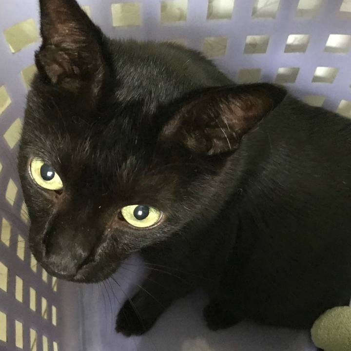 9eefcc2f 3cc4 4116 bb57 4b06b4d94c4e 1533773935863