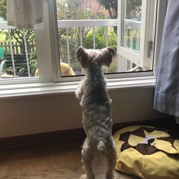 9eefe29b 9050 4c87 867a 92ee4c401c9a 1567843828159