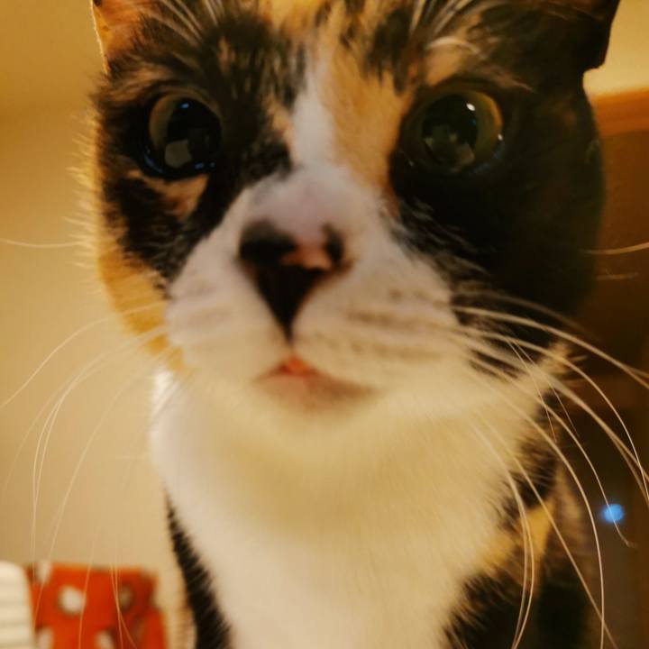 9ef054c3 29f3 4aad 942f a51990550236 1643945875295