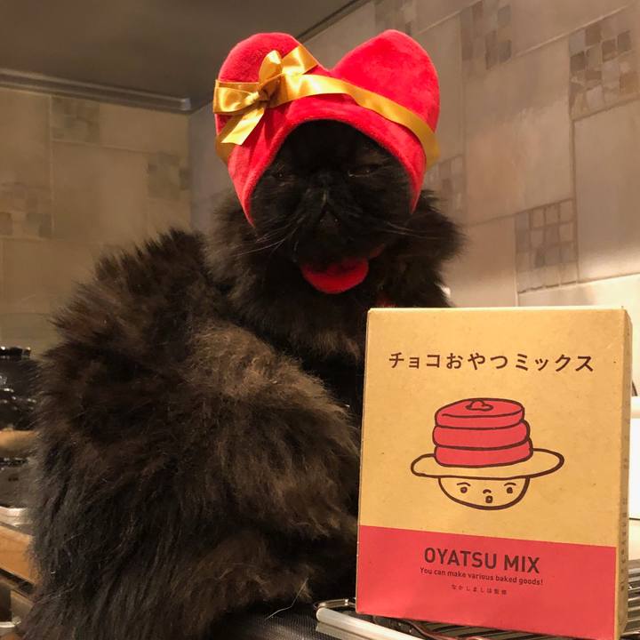 9ef06764 8179 4b71 b075 9e50d180ba0c 1550152590317