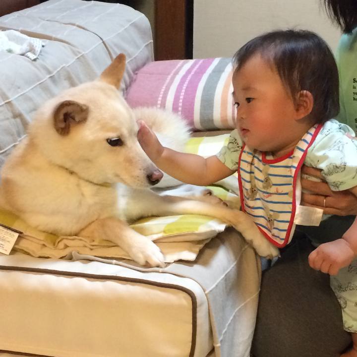 9ef07349 6971 4532 aa4f 20946dae912e 1528721299267