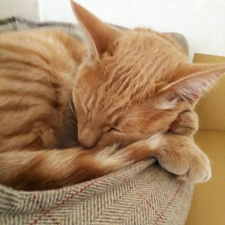 9ef0745f eaf4 4548 9354 42ee46e160bf 1556608886021